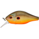 Dogora 6,5cm F Sun Perch