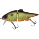 Swing Mikey 11,5cm F Muddy Roach