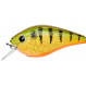 Kraken 6,5cm F Strass Perch