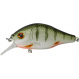 Dogora 6,5cm F Green Perch