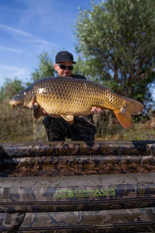 Fox Podložka Carpmaster Air Mat