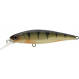 Squad Minnow 9,5cm SP Perch