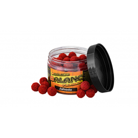 Carp Servis Výclavík Boilies Balanc Feeder 80 g 12 mm