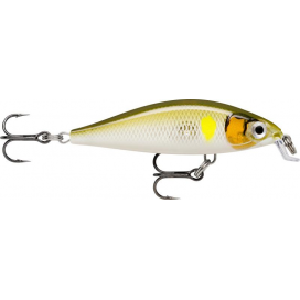 X- Light Minnow 05