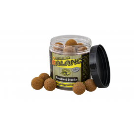 Boilies Balanc - 120 g/25 mm/Rozpálená švestka