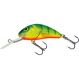 Salmo Wobler Hornet Sinking Hot Perch velikost: 6cm, hmotnost: 14g