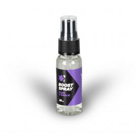 Feeder Expert Booster Spray Švestka Česnek 30ml