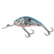 Executor Shallow Runner 4 3/4" Holo Shiner