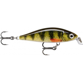 X- Light Minnow 05