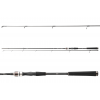 Daiwa Prut Exceler Spin 2,7 m 40-80 g 2díl