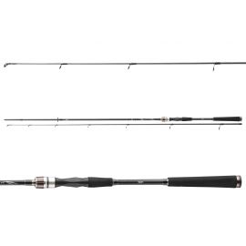 Daiwa Prut Exceler Spin 2,7 m 40-80 g 2díl