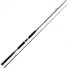 Shimano Prut Beast Master AX Pilk 2,40m 150-300g