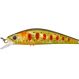 Gamera 5,4cm SHW HL Brown Trout