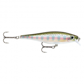 Rapala Wobler BX Minnow BXM10 RT