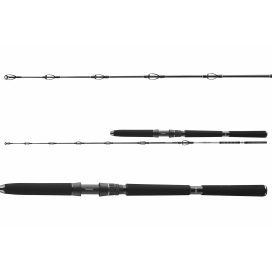 Daiwa Prut BG DEEP SEA 2,20m 30lbs