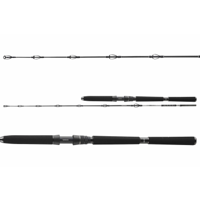 Daiwa Prut BG DEEP SEA 2,20m 30lbs