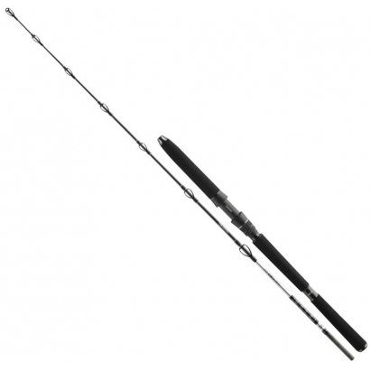 Daiwa Prut BG DEEP SEA 2,20m 30lbs