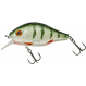 Dogora 8,5cm F Green Perch