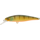 Squad Minnow 6,5cm SP Agressive Perch