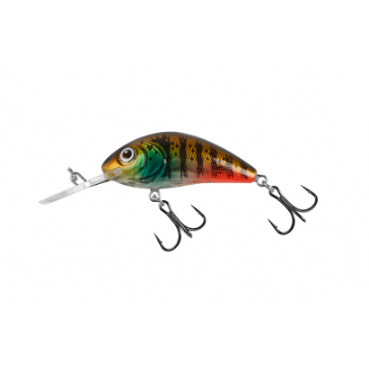 Salmo wobler Rattlin' Hornet Floating Hot Gill CLEAR 3.5cm