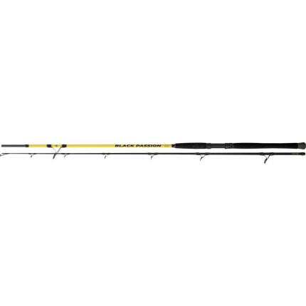 Black Cat Prut Passion G2 Spin 2,4 m 50-200 g