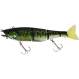 Gantia 18cm RT Biwako Bass