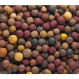 Mivardi Vnadící Boilies Rapid Multi mix 2,5kg