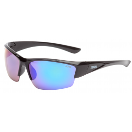 POLARIZED GLASSES