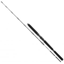 Daiwa Prut BG OFFSHORE Deepsea 1,75m 100-300g