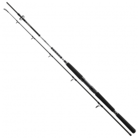 Daiwa Prut BG Boat 2,10m 150-400g