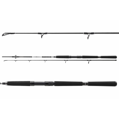 Daiwa Prut BG Boat 2,10m 150-400g