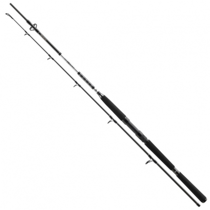 Daiwa Prut BG Boat 2,10m 150-400g