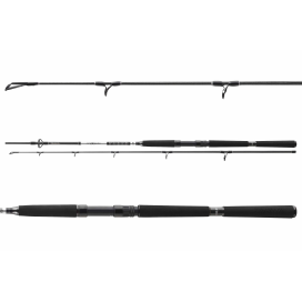 Daiwa Prut BG OFFSHORE BOAT 2,40m 150-400g