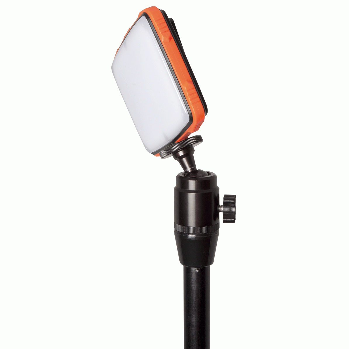 Fox Lampa Halo Photography Light