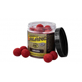 Carp servis Václavík  Boilies Balanc 120 g 20 mm