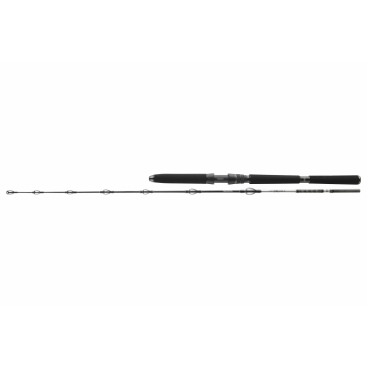 Daiwa Prut BG Deep Sea 2,20 m 30-40 lbs 2-díl