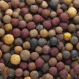 Mivardi Vnadící Boilies Rapid Multi mix 10kg