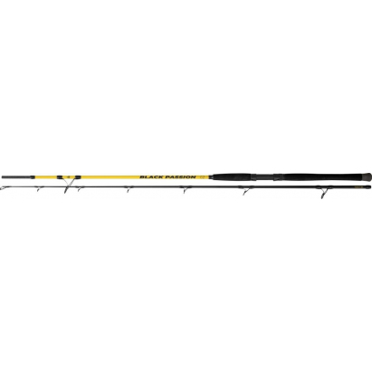 Black Cat Prut Passion G2 Spin 2,7 m 50-200 g