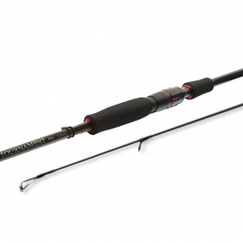 Daiwa Prut Tournament AGS Spin 2.70m 14-42g