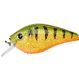 Kraken 5,5cm F Strass Perch