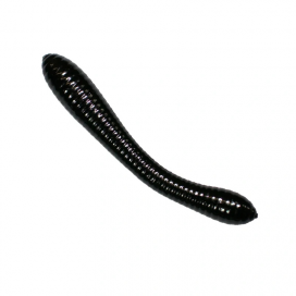 Revol Baits nástraha Leech 50mm příchuť krevetka, barva černá 12ks