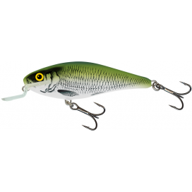 Salmo wobler Executor shallow runner olive Bleak 5cm