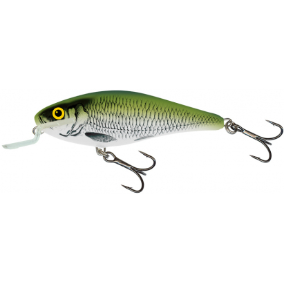 Salmo wobler Executor shallow runner olive Bleak 5cm